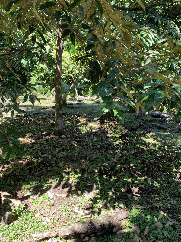 84992393-7609-45CB-B8FF-F61A058398AB