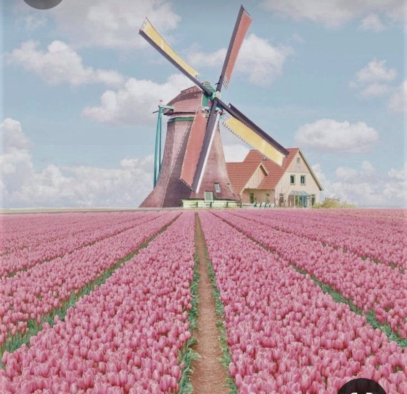 Screenshot_20230322_231132_Pinterest