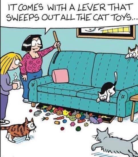 cat-toys.jpg