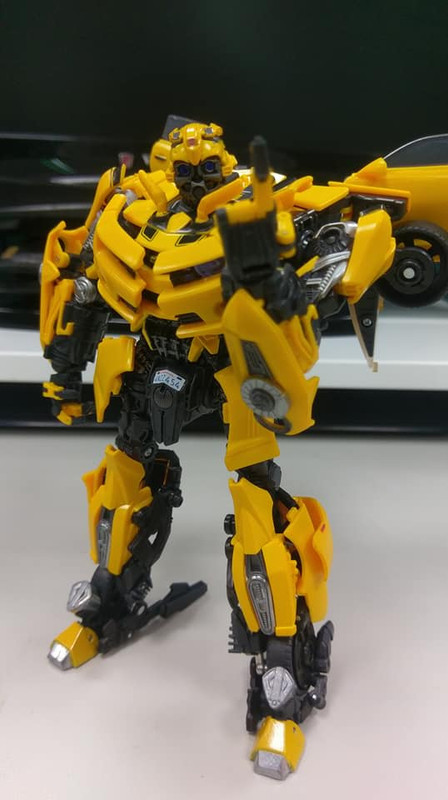 MPM-3-Bumblebee-05