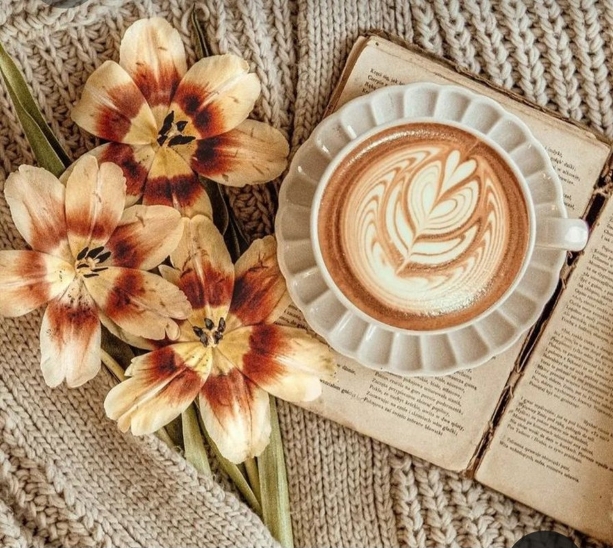 Screenshot_20230316_180810_Pinterest