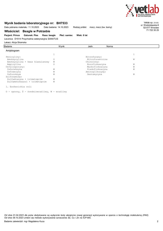 Beagle w Potrzebie (BH7533)-2