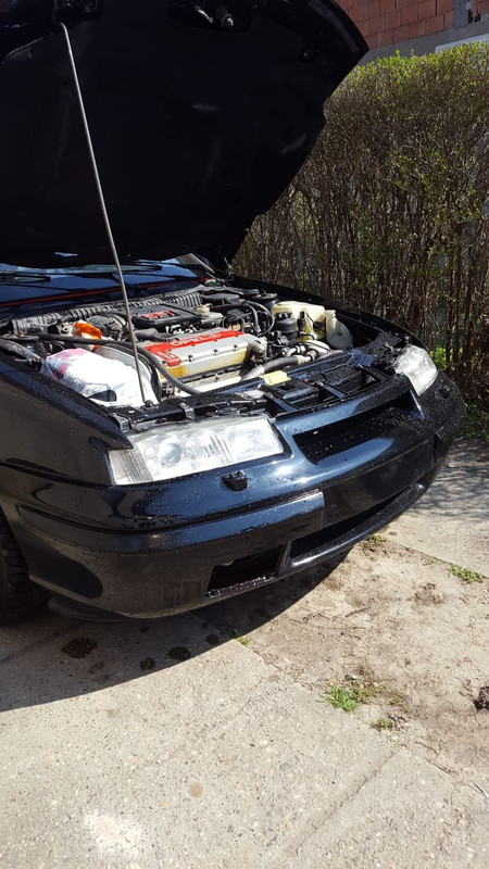 WhatsApp Image 2020-03-24 at 16.11.49 (11)