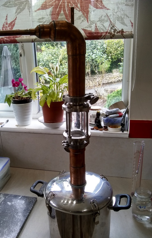 IMG_20210808_123114378_HDR~2