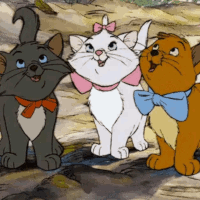 cool-for-cats-alt4.gif