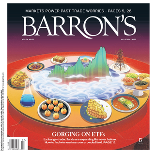 Barron-s-07-7-2025-pdf.png
