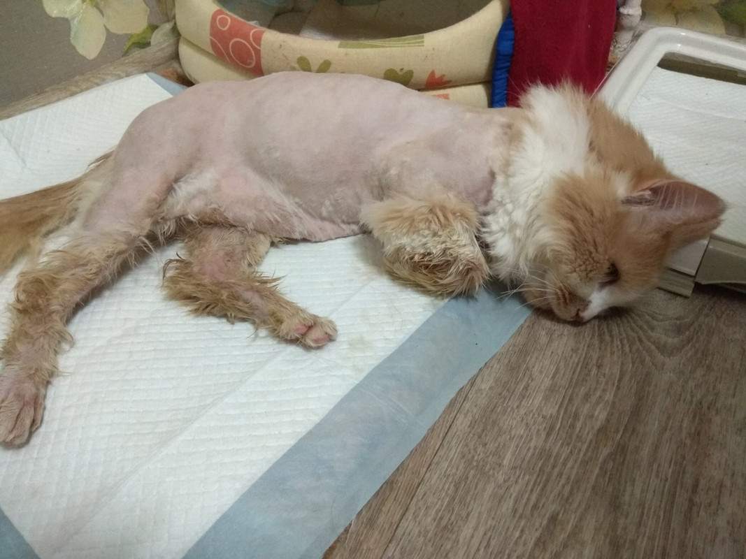 после процедур3