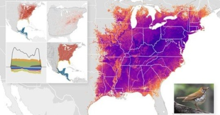 Birding with eBird