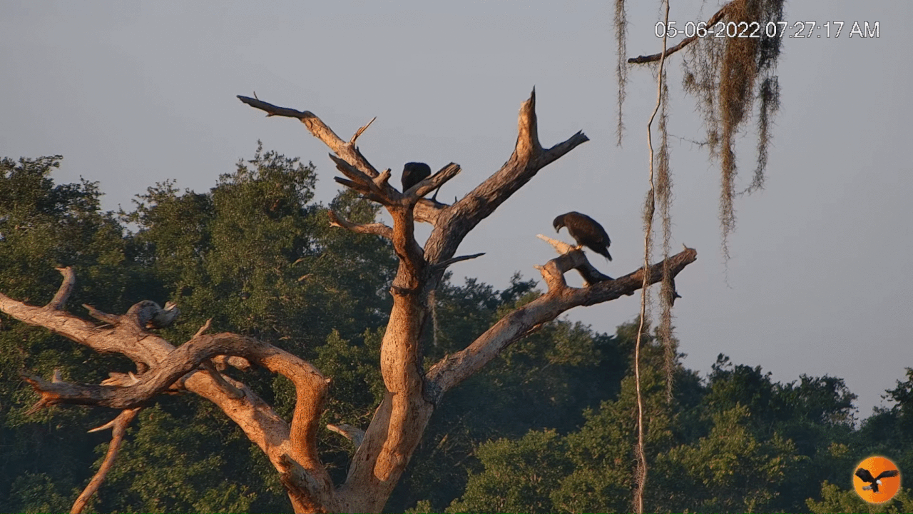 Webp.net-gifmaker (6)