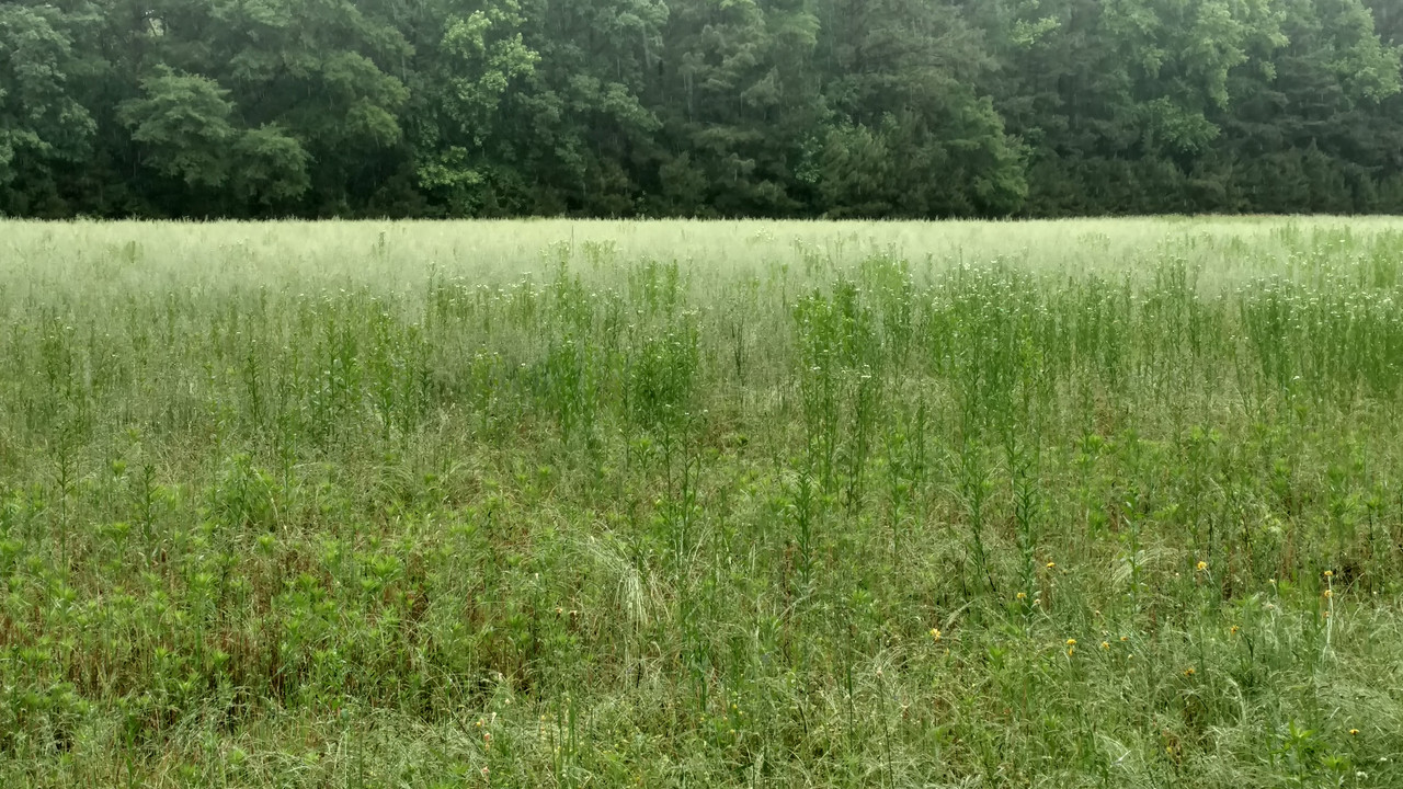 IMG_20180519_135755470_HDR