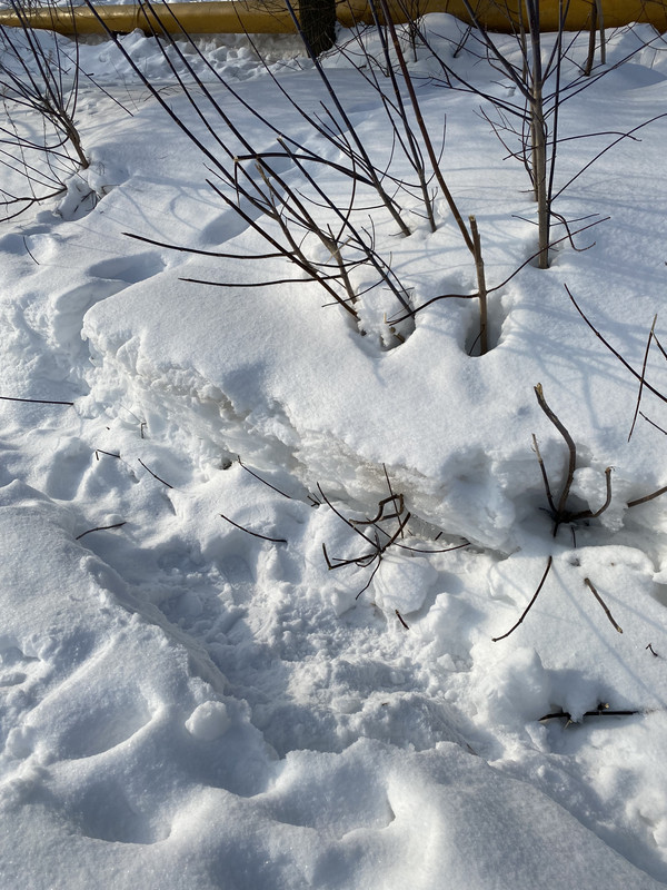 CBDD4C1E 8C63 446D A4B3 DBFB301397D6