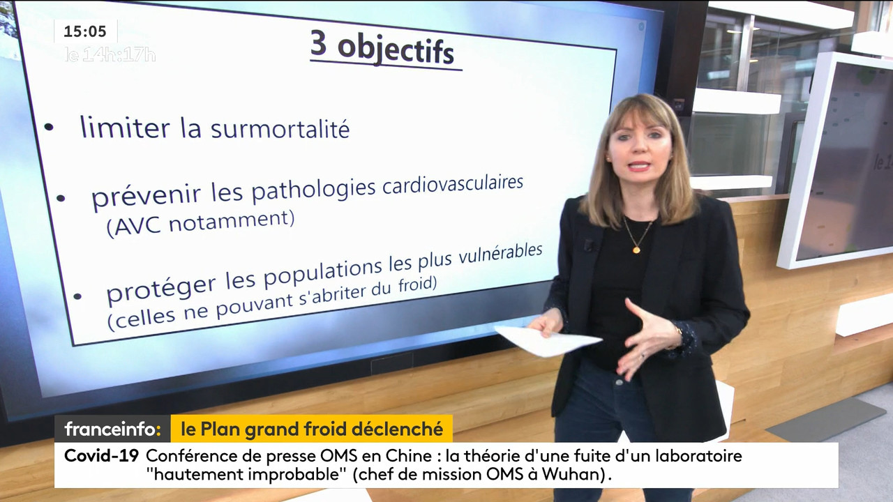 02.09 - 12.59.00 - Le 14h-17h. Au sommaire   Vrai ou fake. - francein..._001.ts_snapshot_00.31.828