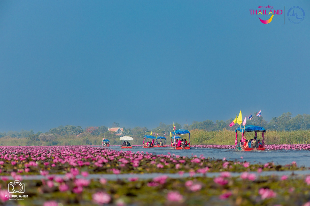 843d787d-efc5-4efe-9b50-ba5407833744-0