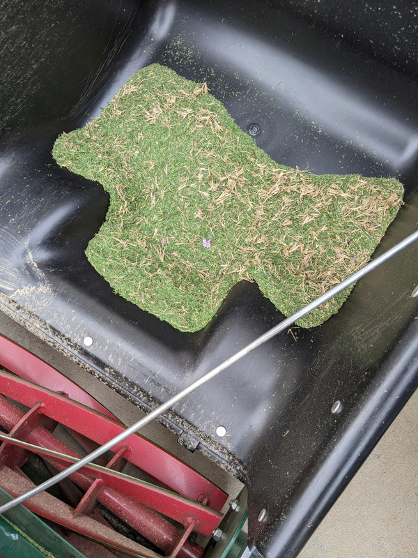 PXL_20200823_203637724.MP