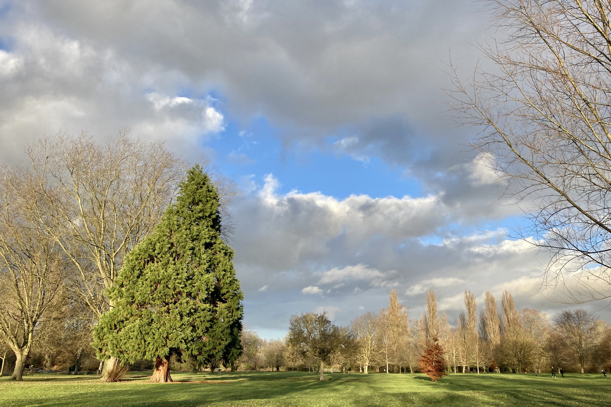 71F8C4C8-73D8-4529-BEFC-049A1C214616