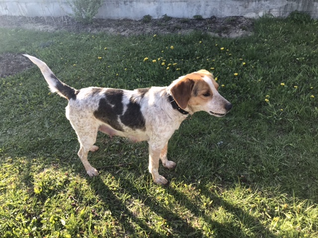 34A3A8C7-4F48-44E7-96A5-67980BBED1E4