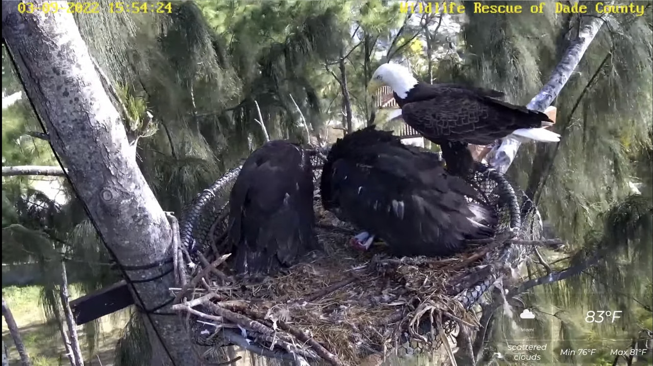 F955C144-6A65-4689-852C-1B634271E1FF