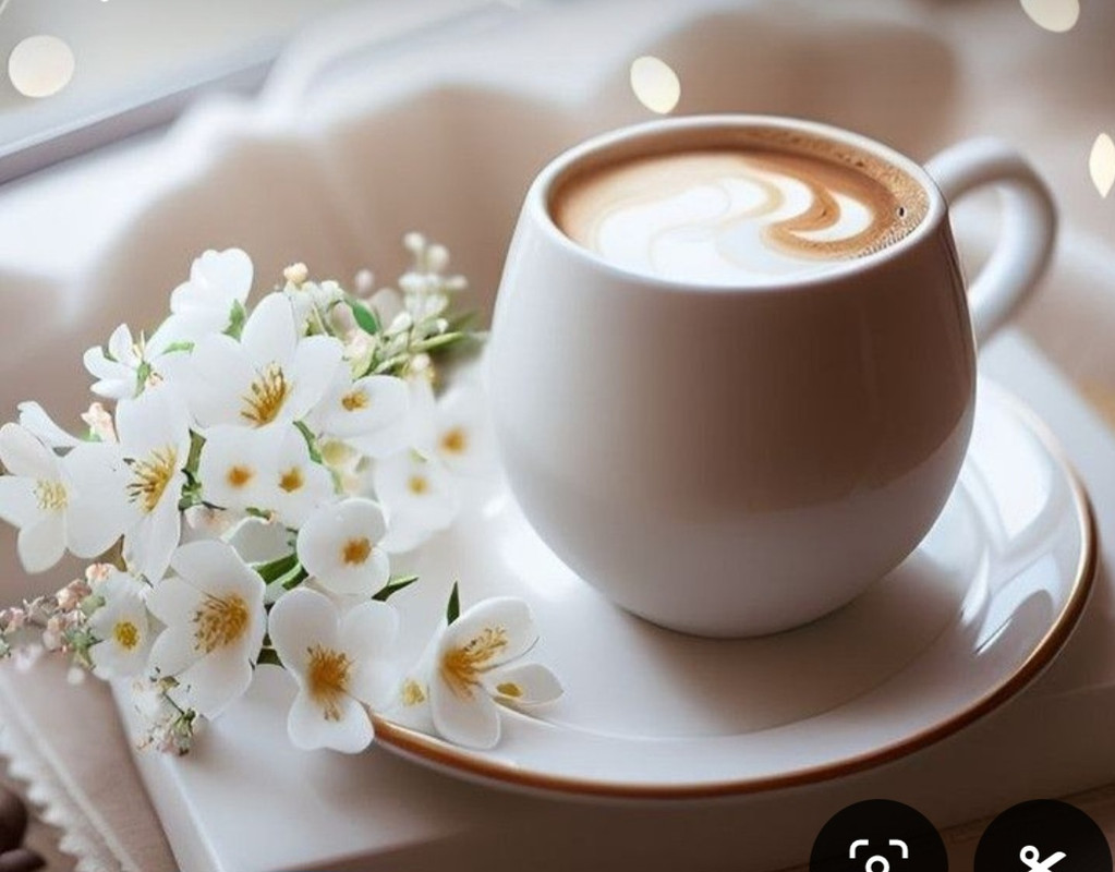 Screenshot_20240712_124354_Pinterest