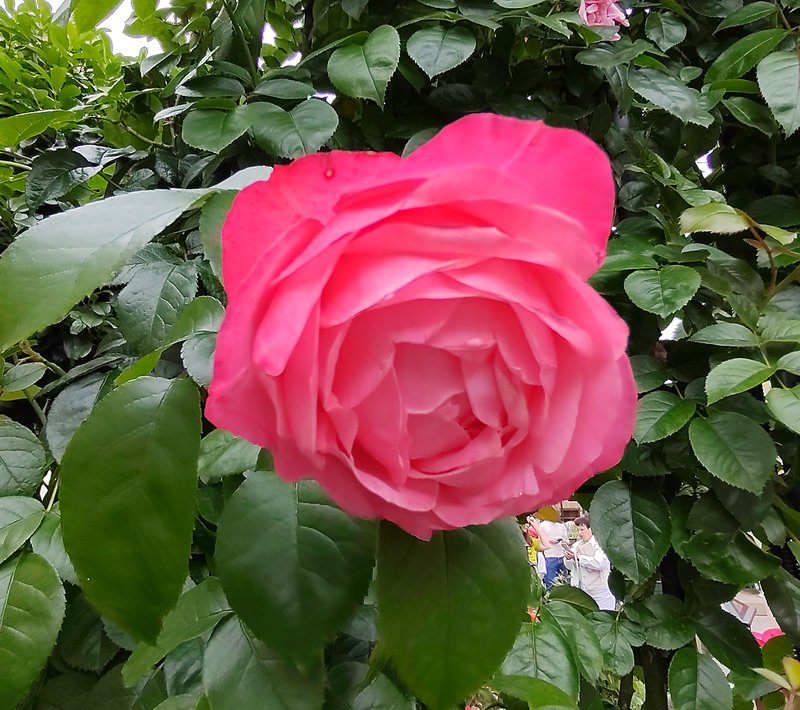 https://i.postimg.cc/Y0xqH2cX/10-IMG-20250706-144430.jpg
