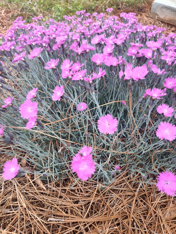 IMG_20250403_072654938_HDR
