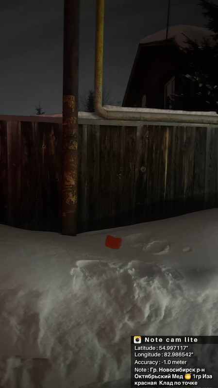 photo 2026 02 01 00 59 37