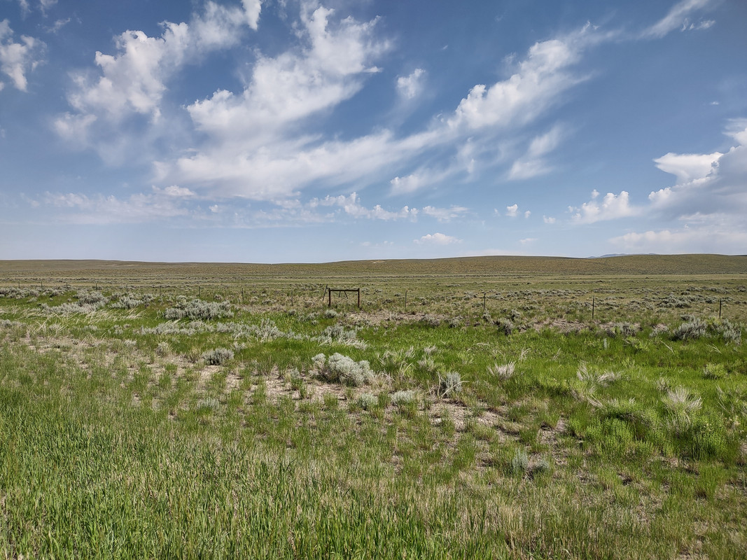 IMG_20250615_095102009_HDR