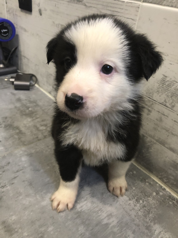 99BC28F2-5439-415C-BEA2-79CE48C15DCE