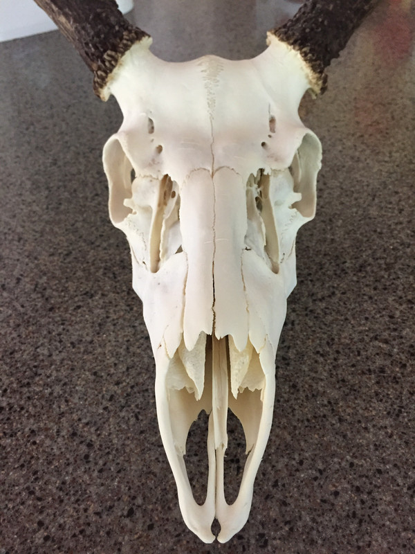 176890B2-BEEB-48A6-8231-5957CEC2A1DC