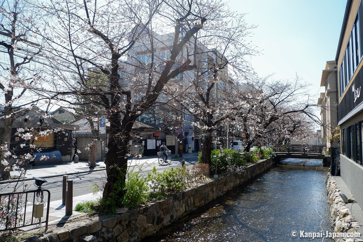 kyoto-kiyamachi-dori-sakura-3