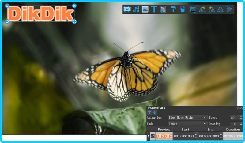 [Image: DIKDIK-Video-Kit-5-4-0-0-Multilingual.png]