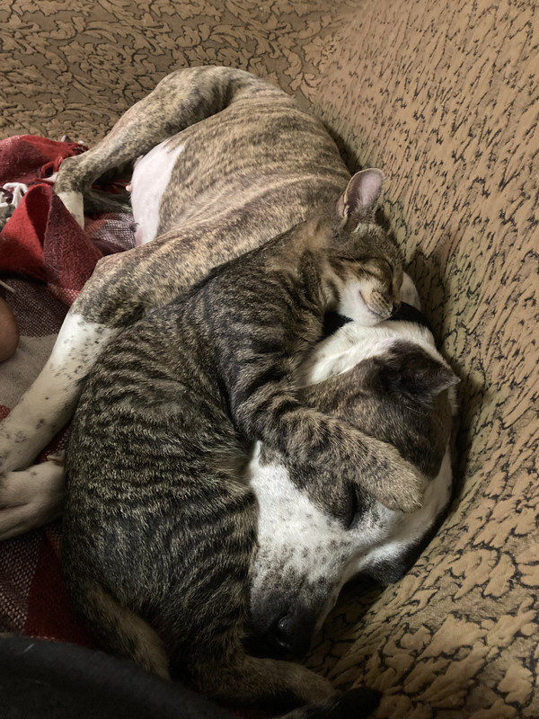 18059E9D-562D-40A0-919C-0E3B93DD54AD