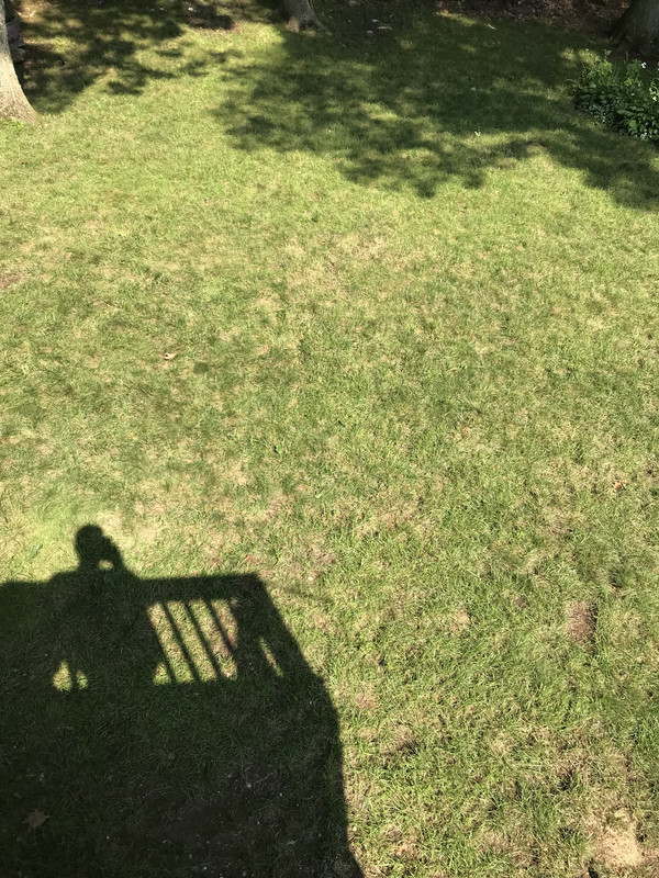 3AA7A853-A06C-4BAE-BD3B-E0404FCA176E