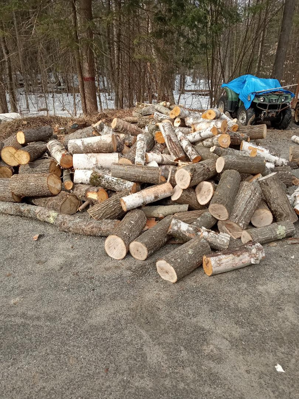 free wood