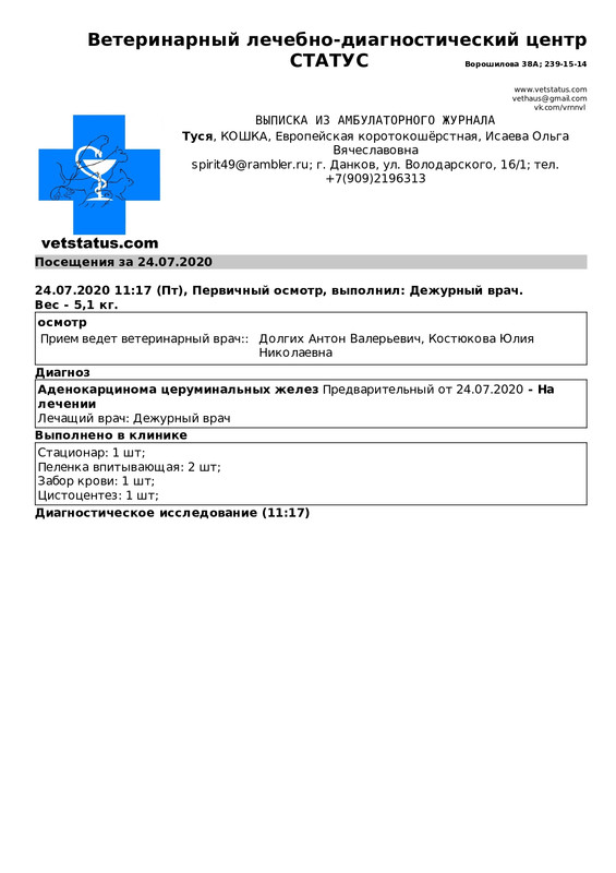 ЭПИКРИЗ ЗА ПЕРИОД (Туся)_page-0001