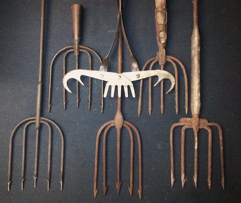 IMG-20130301-00249_zps67156114