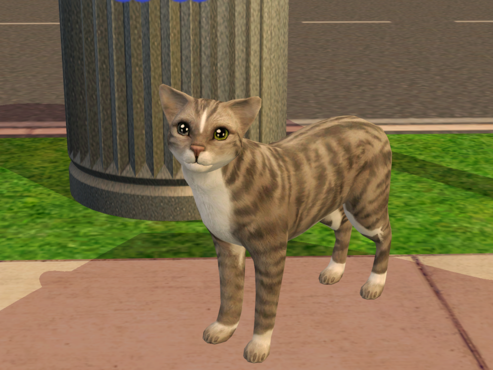 Sims2-EP9-RPC-2022-05-05-23-09-17-45