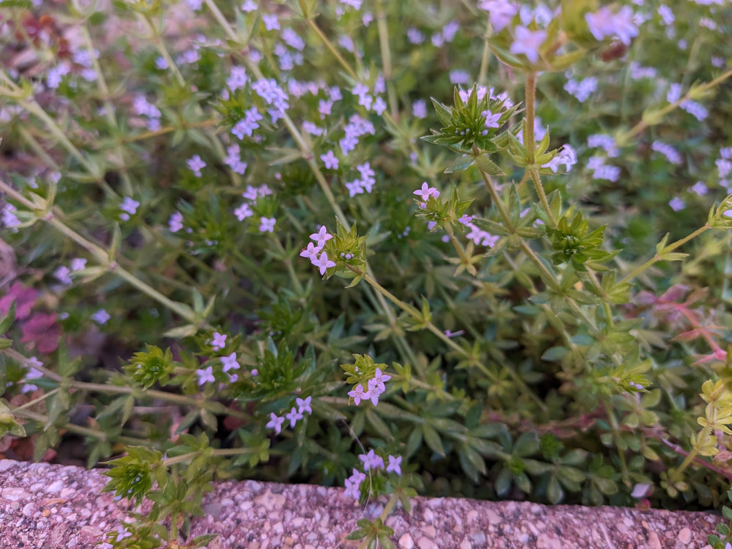 WhatsApp Image 2024-03-20 at 13.27.45 (1)