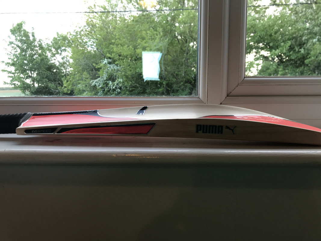 FA8A8ED0-CDBF-4A44-8888-4A45209A638E