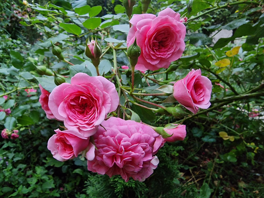 20220826_193435