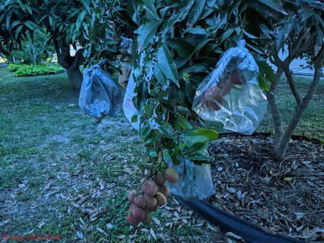 [Image: PXL-20220526-004013828-NIGHT.jpg]