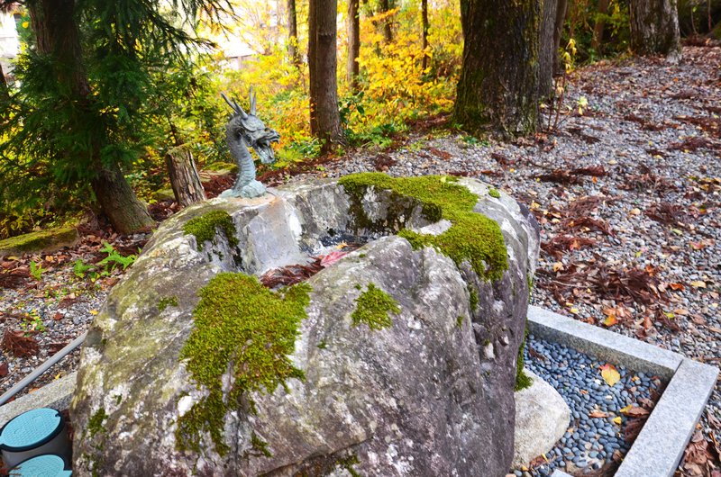Presa Oguchi Daiichi y Templo Fukase-15-11-2024 - Japón y sus Pueblos-2024 (16)
