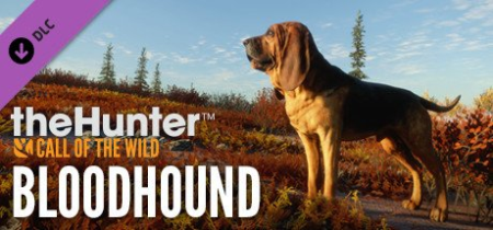 theHunter Call of the Wild Bloodhound CODEX