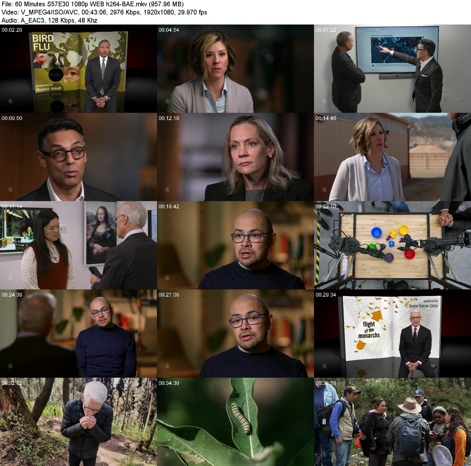 [Image: uxuafd816ms8.jpg]