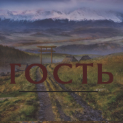 гость