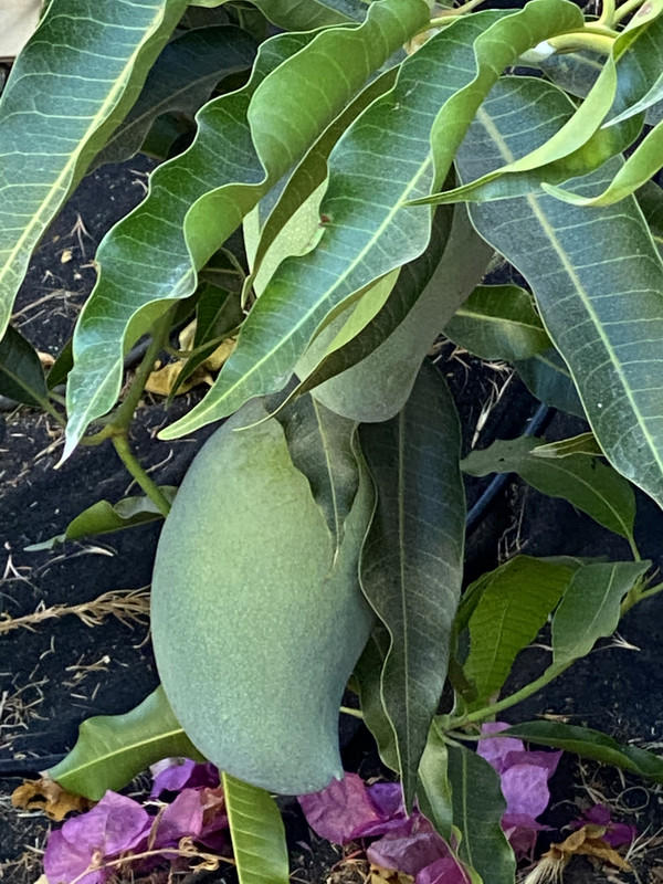 274E1CA8-E775-43F9-B5FE-6CB67E8512AF