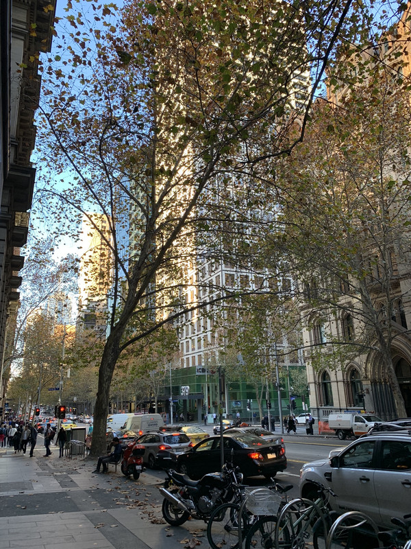 58A46991-7E23-44C6-98CD-3C189030B51A