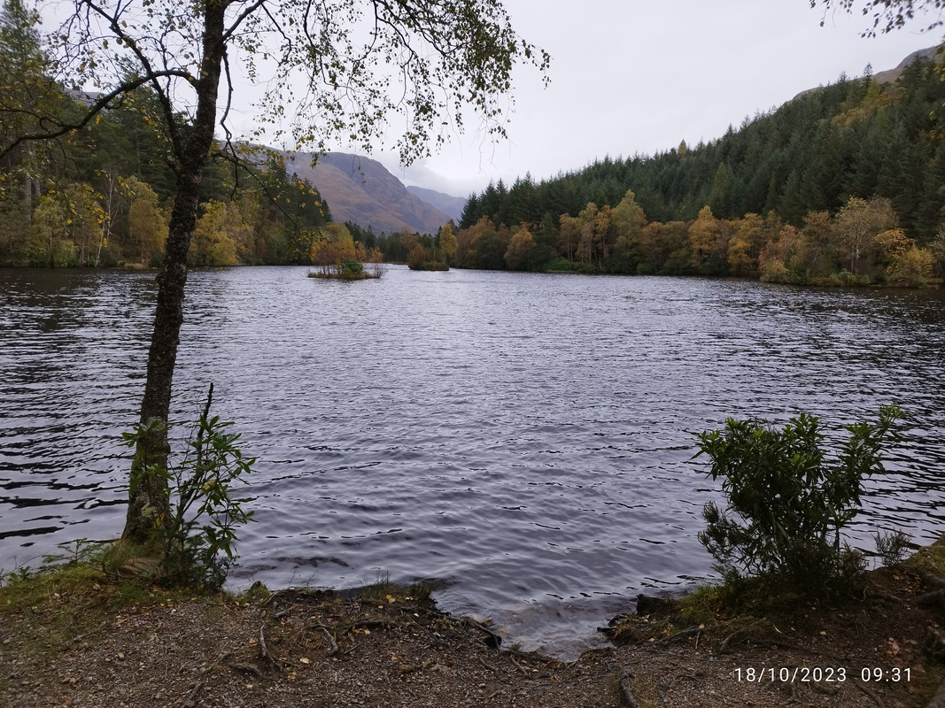 Día 7 - Glencoe Lochan - Falls of Falloch - Luss - Balmaha (122 kms.) - Edimburgo - Highlands - Isla de Skye (8 días) (5)