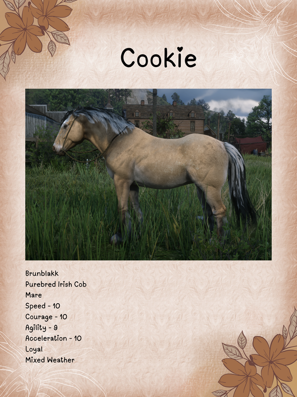 Cookie