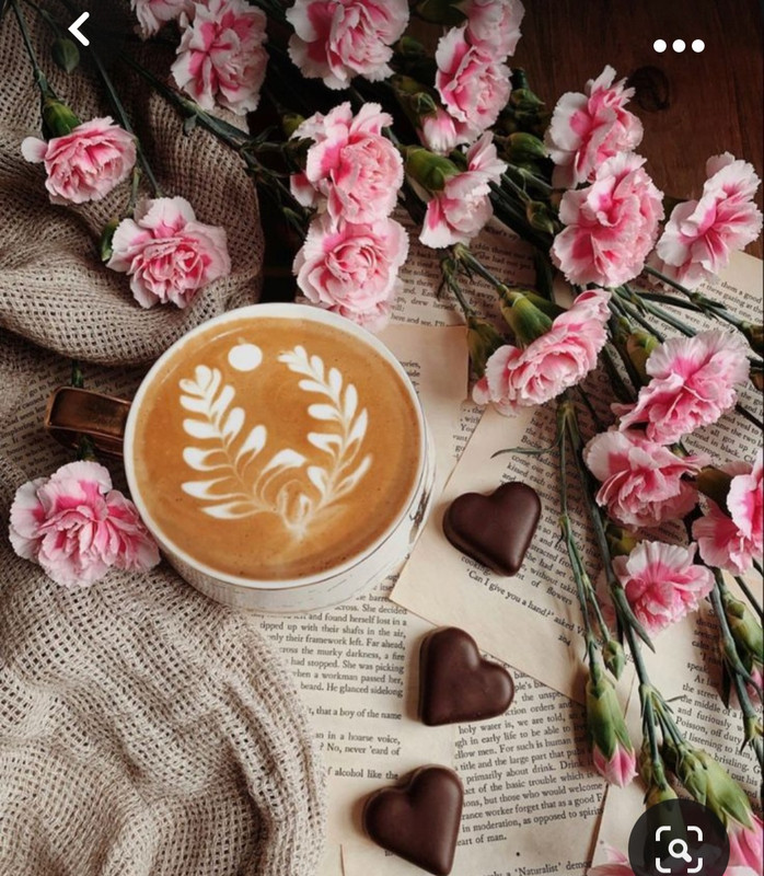 Screenshot_20230928_232536_Pinterest