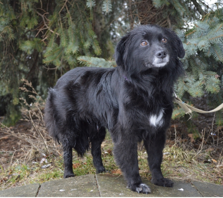 FE29AA39-90CE-415E-B7F7-D85074D660FF